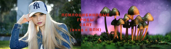 хмурый Алексеевка