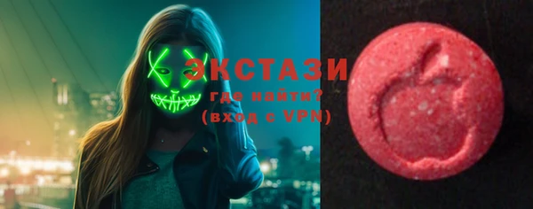 индика Гусь-Хрустальный