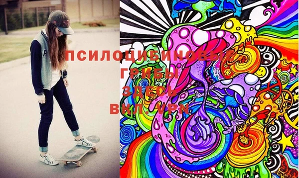 синтетический гашиш Алексин