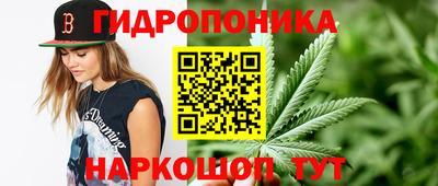 mdpv Партизанск