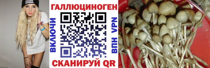цена наркотик  Глазов  Псилоцибиновые грибы Psilocybe 