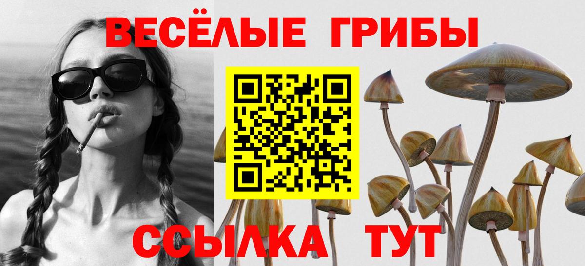 Галлюциногенные грибы Magic Shrooms  Вход с VPN  Глазов 