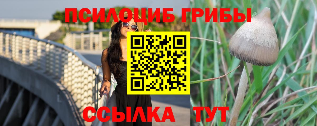 Галлюциногенные грибы мухоморы Глазов
